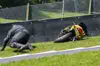 cadwell-no-limits-trackday;cadwell-park;cadwell-park-photographs;cadwell-trackday-photographs;enduro-digital-images;event-digital-images;eventdigitalimages;no-limits-trackdays;peter-wileman-photography;racing-digital-images;trackday-digital-images;trackday-photos